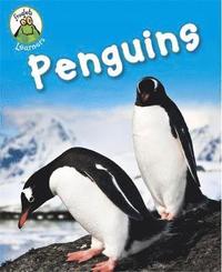 bokomslag Froglets: Learners: Penguins