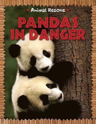 bokomslag Animal Rescue: Pandas in Danger