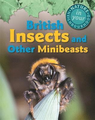 bokomslag Nature in Your Neighbourhood: British Insects and other Minibeasts