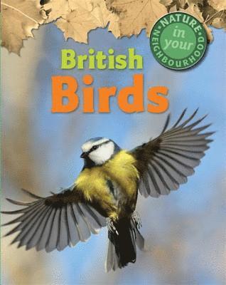 bokomslag Nature in Your Neighbourhood: British Birds