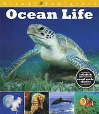 bokomslag Visual Explorers: Ocean Life