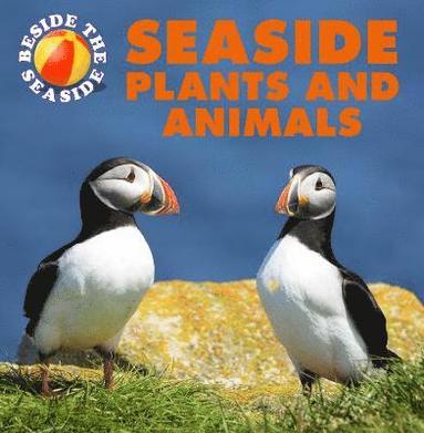 bokomslag Beside the Seaside: Seaside Plants and Animals