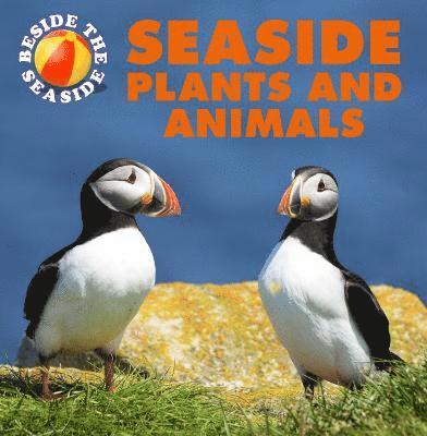 Clare Hibbert - Beside the Seaside: Seaside Plants and Animals, Häftad