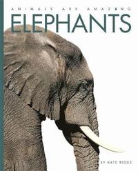 bokomslag Animals Are Amazing: Elephants