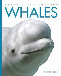 bokomslag Animals Are Amazing: Whales