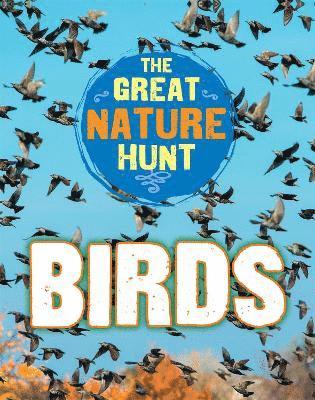 The Great Nature Hunt: Birds 1