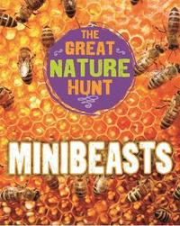 bokomslag The Great Nature Hunt: Minibeasts