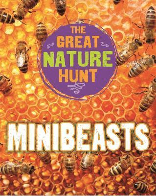 The Great Nature Hunt: Minibeasts 1