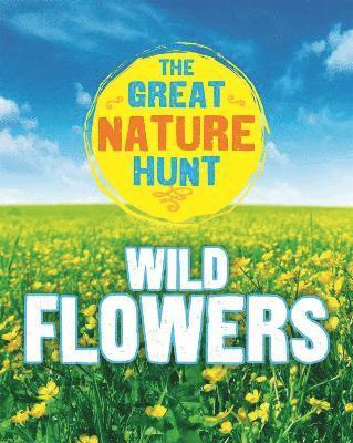 bokomslag The Great Nature Hunt: Wild Flowers