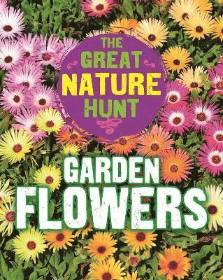 The Great Nature Hunt: Garden Flowers 1