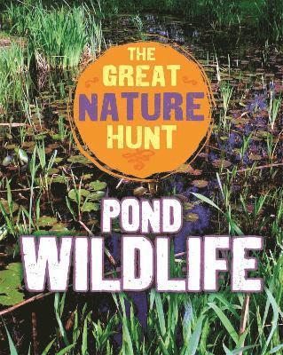 Great Nature Hunt: Pond Wildlife 1