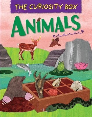 Peter Riley - The Curiosity Box: Animals, Häftad