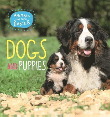 bokomslag Animals and their Babies: Dogs & puppies