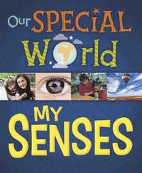 bokomslag Our Special World: My Senses