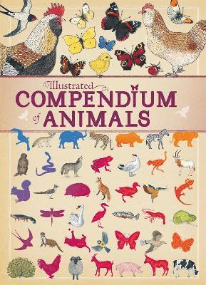Virginie Aladjidi, Emmanuelle Tchoukriel - Illustrated Compendium of Animals, Inbunden