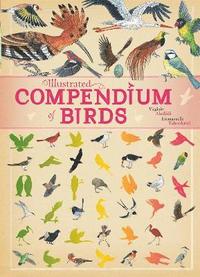 bokomslag Illustrated Compendium of Birds