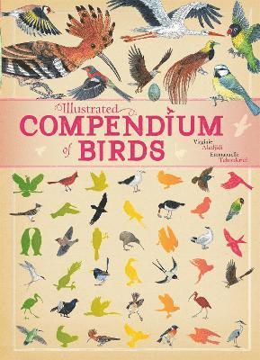 Virginie Aladjidi, Emmanuelle Tchoukriel - Illustrated Compendium of Birds, Inbunden
