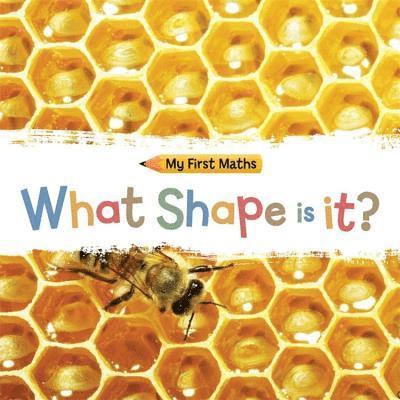 Jackie Walter - My First Maths: What Shape Is It?, Häftad