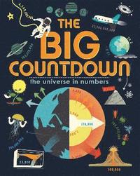 bokomslag Big Countdown