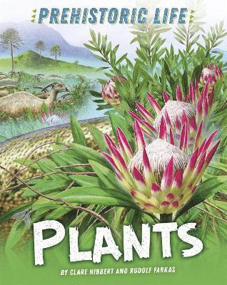 Clare Hibbert - Prehistoric Life: Plants, Inbunden