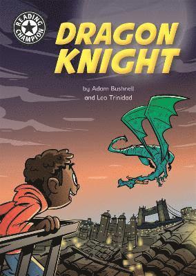 bokomslag Reading Champion: Dragon Knight