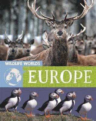 Tim Harris - Wildlife Worlds: Europe, Inbunden