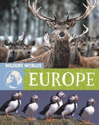 bokomslag Wildlife Worlds: Europe