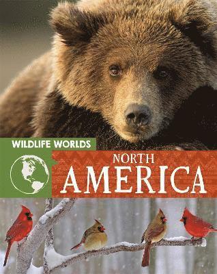 Wildlife Worlds: North America 1
