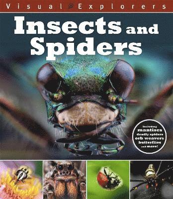 Visual Explorers: Insects and Spiders 1