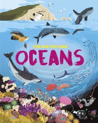 Jon Richards - Big Picture: Oceans, Häftad