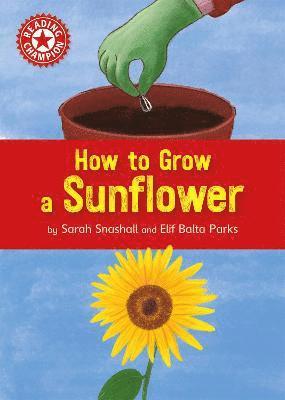 Reading Champion: How to Grow a Sunflower 1