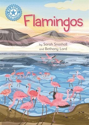 Sarah Snashall - Reading Champion: Flamingos, Inbunden