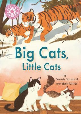 Reading Champion: Big Cats, Little Cats 1