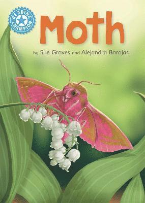 Reading Champion: Moth 1