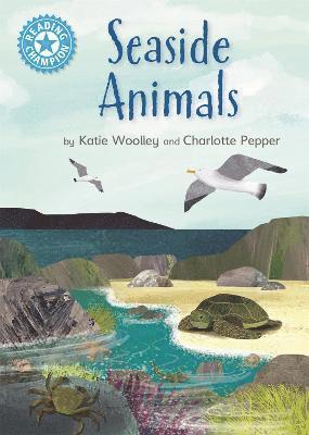 Katie Woolley - Reading Champion: Seaside Animals, Häftad