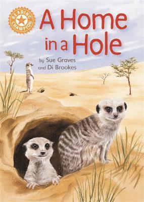 Sue Graves - Reading Champion: A Home in a Hole, Inbunden