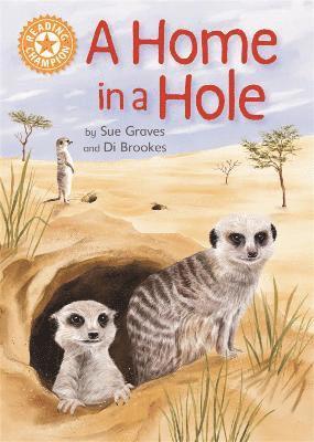 Sue Graves - Reading Champion: A Home in a Hole, Häftad