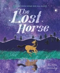 bokomslag The Lost Horse