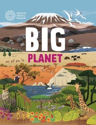 Jon Richards - Big Planet, Häftad