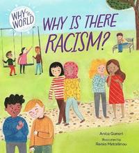 bokomslag Why in the World: Why is there Racism?