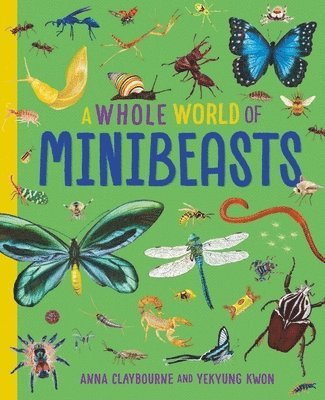 bokomslag A Whole World of...: Minibeasts