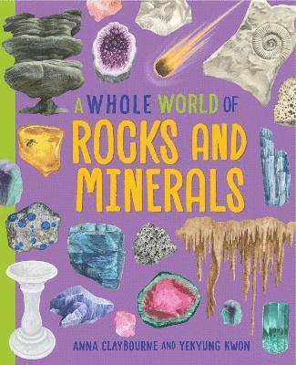 Anna Claybourne - Whole World of...: Rocks and Minerals, Häftad