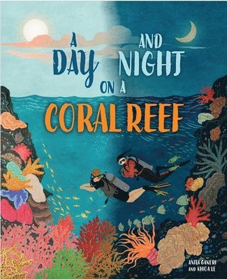 Day and Night: On a Coral Reef