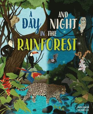 bokomslag Day and Night: In a Rainforest