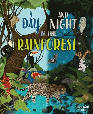 Day and Night: In a Rainforest