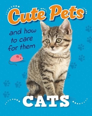 Judith Heneghan - Cute Pets! And How to Care For Them: Cats, Häftad