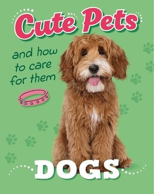 bokomslag Cute Pets! And How To Care For Them: Dogs