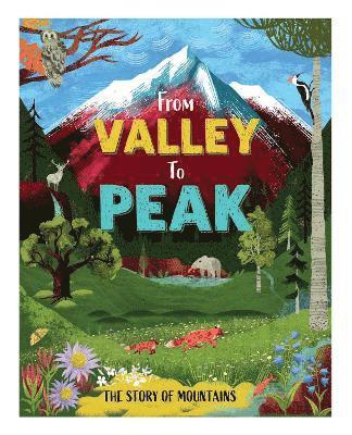 From Valley to Peak: The Story of Mountains