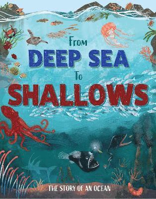 Ben Hubbard - From Deep Sea to Shallows: The Story of Oceans, Häftad