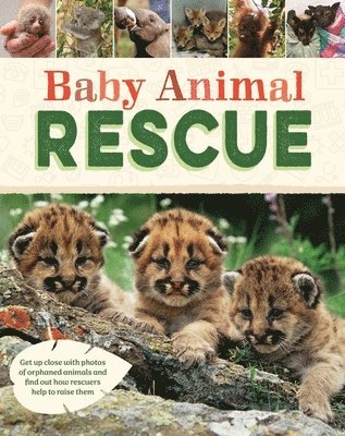 Susie Williams - Baby Animal Rescue, Inbunden